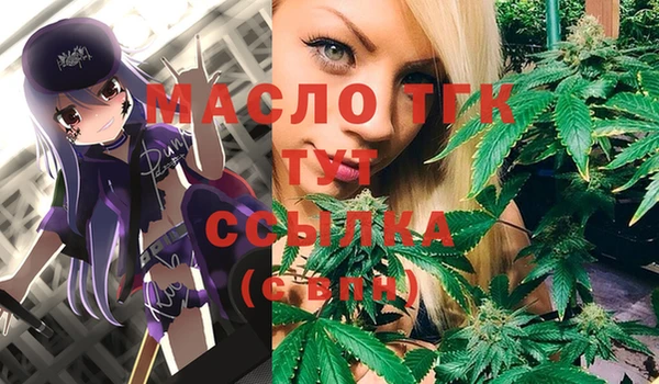 тгк Алексин