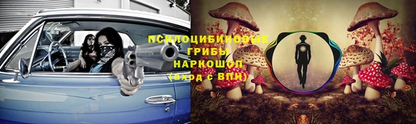 герыч Алзамай