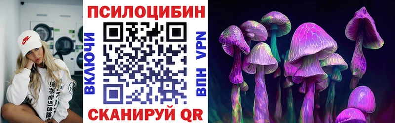 blacksprut tor  цена наркотик  Нововоронеж  Галлюциногенные грибы Cubensis 